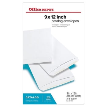 Image for Office Depot® White Large Format Open End Envelope 9" X 12" Box Of 250 from HD Supply