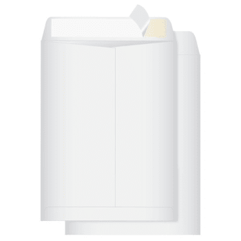 Image for Quality Park® Redi Strip White Catalog Envelope 9" X 12", Box Of 100 from HD Supply