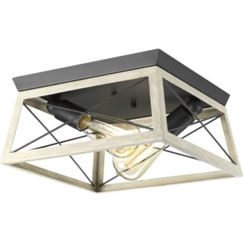 Image for Progress Lighting LED Briarwood Graphite Two-Light Flush Mount Fixture from HD Supply