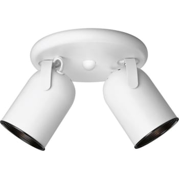 Image for Progress Lighting LED Directional White Two-Light Roundback Wall Ceiling Fixture from HD Supply