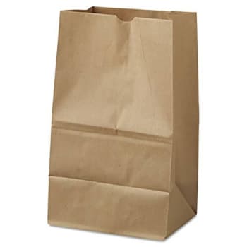 Image for Duro Grocery Bag With Kraft, 8.29"l X 5.94"d X 13.38"h, Case Of 500 from HD Supply