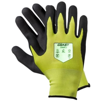 Image for Coast Products Sg300 Hi Vis Glow Safety Gloves, Large from HD Supply