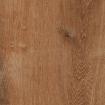 Image for Lifeproof Trail Oak Luxury Vinyl Plank Flooring, 20.06 Sqft/Case, Case Of 7 from HD Supply