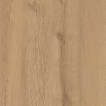Image for Lifeproof Hardeman Oak Luxury Vinyl Plank Flooring, 21.45 Sqft/Case, Case Of 6 from HD Supply