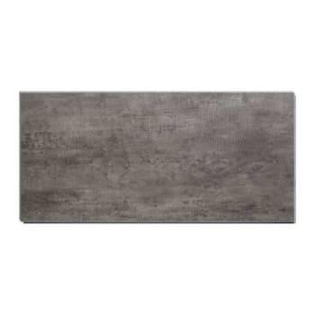 Image for Acp Palisade 23.2in X 11.1in Vinyl Wall Tile Ashen Slate, Package Of 10 from HD Supply