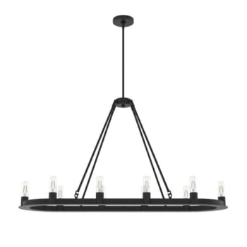 Hunter® Sadlewood 10-Light Indoor Chandelier (Natural Iron)
