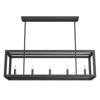 Image for Hunter® Squire Manor 5-Light Indoor Chandelier (Matte Black) from HD Supply