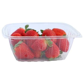 Image for World Centric Pla Rectangle Deli Container 32oz, 6.1x7.6x2.8, Clear, Case Of 600 from HD Supply