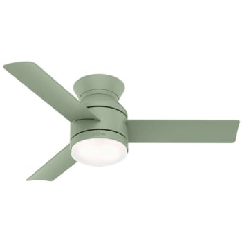 Image for Hunter Fan Dublin 44 in. Ceiling Fan w/ Light (Green) from HD Supply