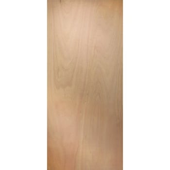 Image for 36 x 80 in. 1-3/8 in. Thick Flush Hollow Core Slab Door (Lauan) from HD Supply