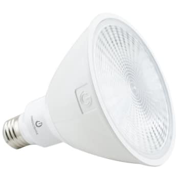 Image for Green Creative 15.5w Par38 Led Reflector Bulb (6-Pack) from HD Supply