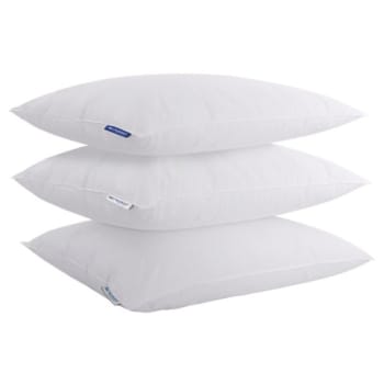 Image for Keeco Best Western Pillow Program Assortment Kit from HD Supply