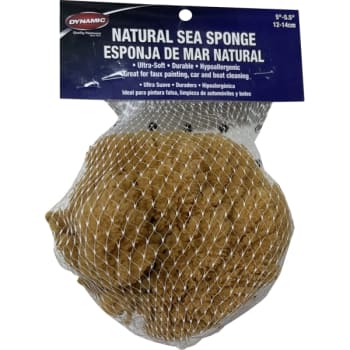 Image for Dynamic 00004 Natural Sea Sponge 5" - 5.5" 12-14cm from HD Supply