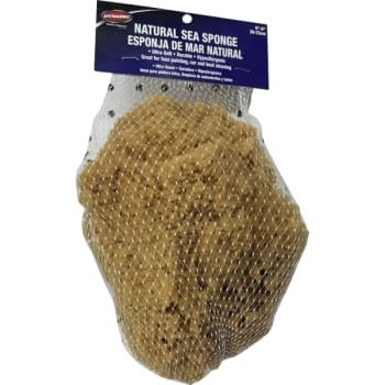 Image for Dynamic 00006 Natural Sea Sponge 8" - 9" 20-23cm from HD Supply