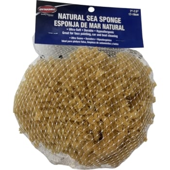 Dynamic 00008 Natural Sea Sponge 7" - 7.5" 17-19cm
