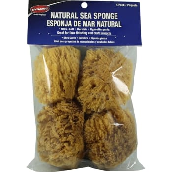 Image for Dynamic 00034 Natural Artist And Craft Sea Sponges 4" - 4 Pack from HD Supply