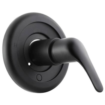 Image for Danco 1-Handle Valve Tub And Shower Faucet Trim Kit In Matte Black For Moen from HD Supply