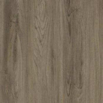 Image for TrafficMASTER Cayman Ash 6 in. x 36 in. Vinyl Flooring, 24 sq. ft./case from HD Supply