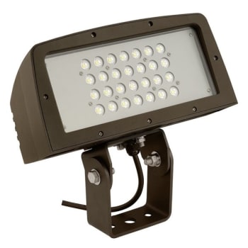 Image for Hubbell 100w Led Flood Bulb (Dark Bronze) from HD Supply