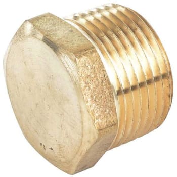 Image for Everbilt 1/8 In. Brass Hex Head Plug Package Of 10 from HD Supply