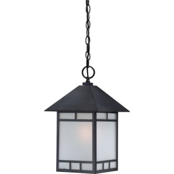 Image for NUVO Lighting® Drexel 10 in. 1-Light Outdoor Pendant Fixture (Black) from HD Supply