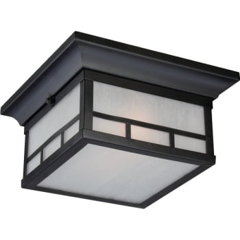 Image for Nuvo Lighting® Drexel 11 in. 2-Light Outdoor Ceiling Light (Stone Black) from HD Supply