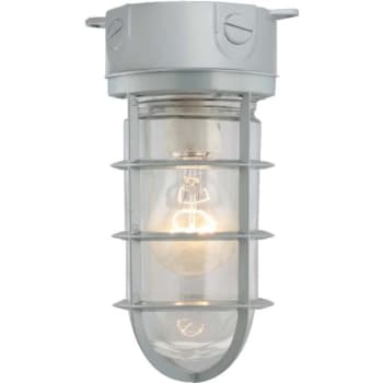 Image for Volume Lighting 5.25 X 5.25 X 9.7 In. Incandescent Outdoor Wall Sconce from HD Supply