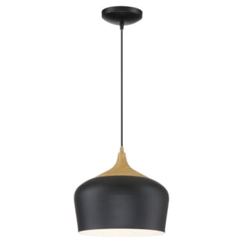 Image for Access Lighting Blend Pendant Black Finish from HD Supply