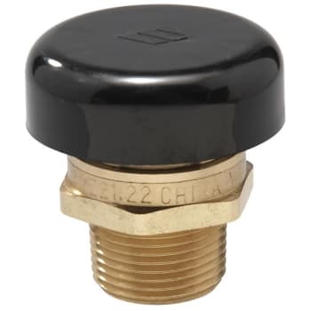 Image for Watts 1/2" Lead Free Brass Vacuum Relief Valve from HD Supply