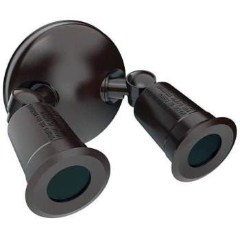 Eran Twin-Head Bronze Outdoor Flood Light No Bulbs