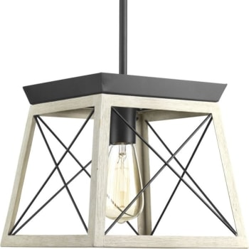Image for Progress Lighting Briarwood 10 in. 1-Light Pendant Fixture (Graphite) from HD Supply