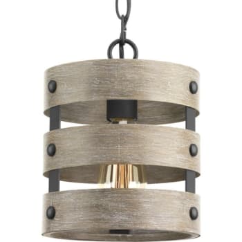 Image for Progress Lighting Gulliver 9 In. 1-Light Pendant Fixture (Graphite) from HD Supply