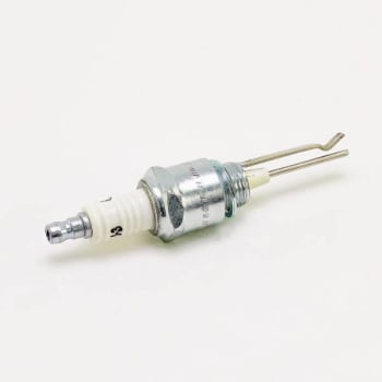 Image for Auburn Ignitor Plug from HD Supply