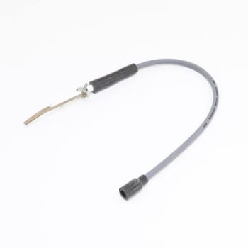 Image for A. O. Smith Spark Ignitor Assembly With Cover Gasket And Screw Kit from HD Supply