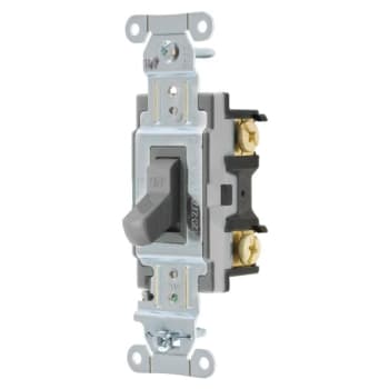 Image for Hubbell-PRO 20 Amp 120/277 VAC 2-Position Toggle Switch (Gray) from HD Supply