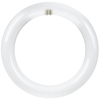 Image for FEIT Electric LED 15W 8" 4100K Circline from HD Supply