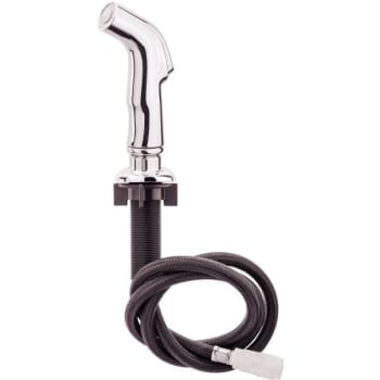 Image for Proplus Replacement Side Sprayer For Kitchen Faucets In Chrome from HD Supply
