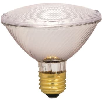 Image for Satco 60-Watt Par30 Medium Base Flood Halogen Light Bulb from HD Supply