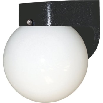 Image for Liteco Wall Mount Outdoor Globe Lantern from HD Supply