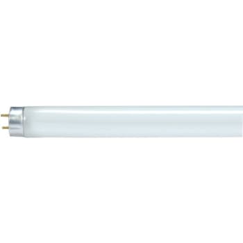 Image for Satco 17w 2' Linear T8 Medium Bi Pin Base Fluorescent Tube Soft White Case Of 30 from HD Supply