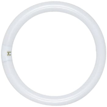 Image for Satco 22w Circline T9 G10q Fluorescent Tube Light Bulb, Cool White Case Of 12 from HD Supply