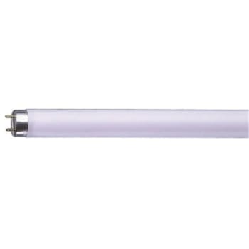 Image for Sylvania 15w 18" Preheat Linear T8 Fluorescent Lamp, Cool White Case Of 24 from HD Supply