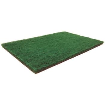 Image for Impact Products Scouring Pads Package Of 10 from HD Supply