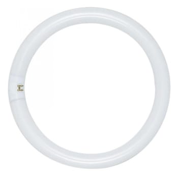 Image for Satco 22w T9 Circline Fluorescent 4100k Cool White 4-Pin Base from HD Supply