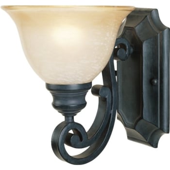 Designers Fountain Barcelona 1-Light Natural Iron Wall Sconce