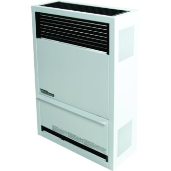 Image for Williams 14,000 Btu Direct Vent Natural Gas Furnace from HD Supply