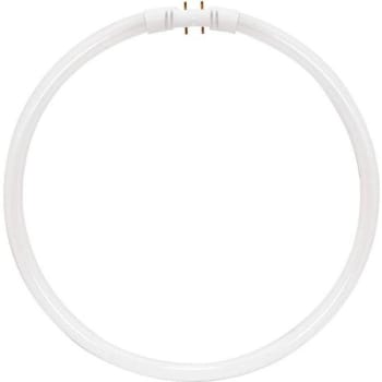 Image for Satco 40-Watt 12 In Circline T5 2gx13 Base Fluorescent Tube Light Bulb White from HD Supply