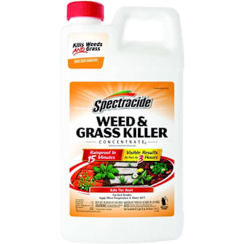 Spectracide Weed And Grass Killer 64 Oz Concentrate