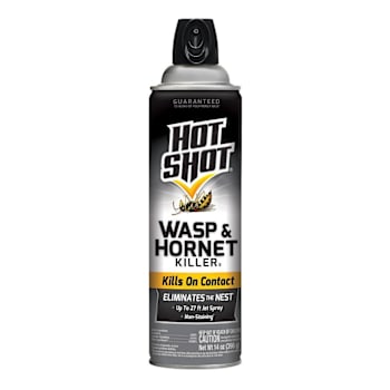 Hot Shot Wasp & Hornet Killer, 14 Oz.