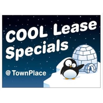 Image for Coroplast Semi-Custom 2-Sided Reflective Sign, Cool Lease, 24 x 18 from HD Supply